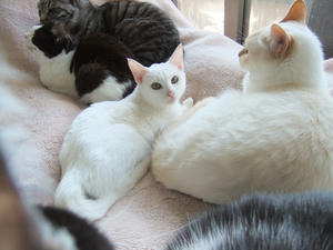 DSCF1318.JPG