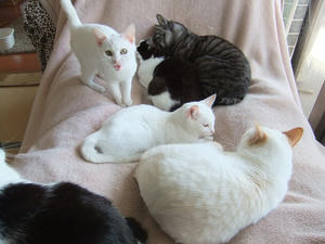 DSCF1320.JPG