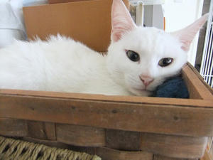 DSCF1305.JPG