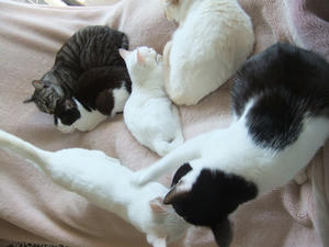 DSCF1321.JPG