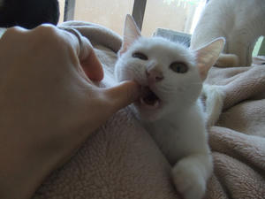 DSCF1371.JPG