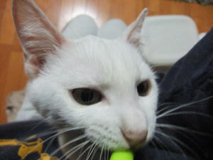 DSCF1352.JPG