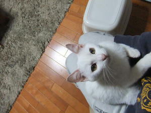 DSCF1353.JPG