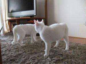DSCF1437.JPG