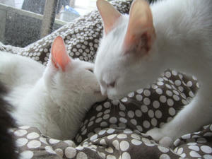 DSCF1358.JPG