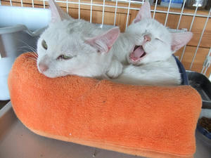 DSCF1270.JPG