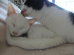 DSCF1384.JPG