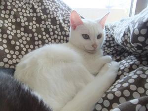 DSCF1445.JPG
