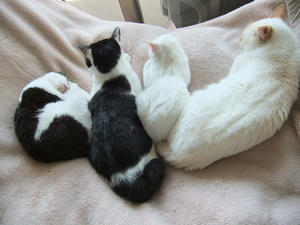 DSCF1325-1.jpg