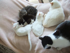 DSCF1322.JPG