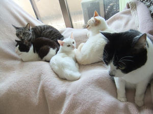 DSCF1317.JPG
