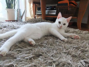 DSCF1438.JPG