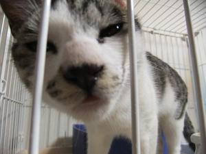 DSCF1516.JPG