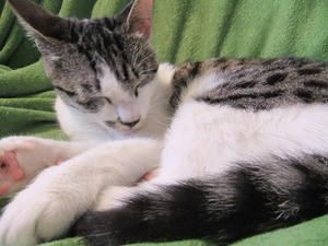 DSCF1543.JPG