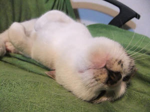 DSCF1529.JPG