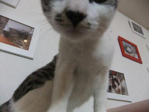 DSCF1511.JPG