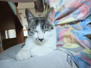 DSCF1702.JPG