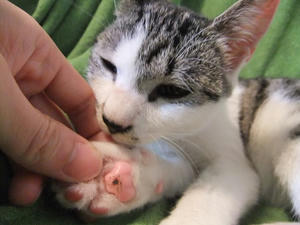DSCF1538.JPG