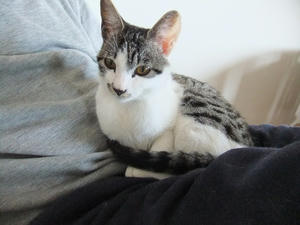 DSCF1732.JPG