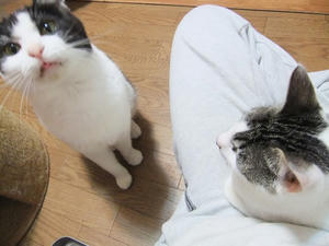DSCF1722.JPG