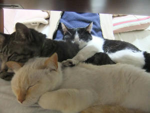 DSCF7605.JPG