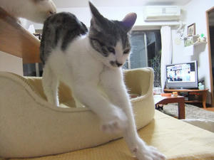 DSCF1704.JPG