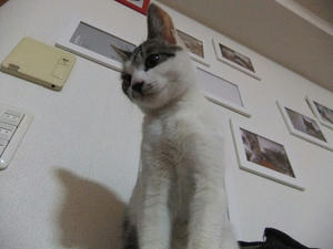 DSCF1514.JPG