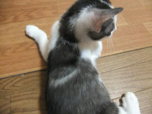 DSCF2428.JPG