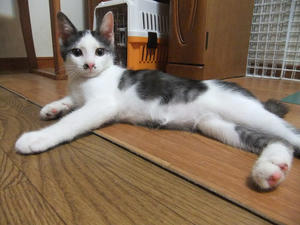 DSCF2420.JPG