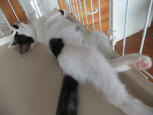 DSCF2393.JPG