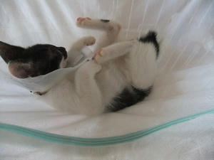 DSCF2391.JPG