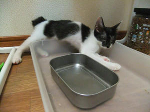DSCF2487.JPG