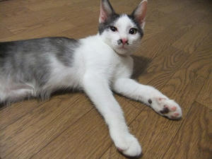 DSCF2458.JPG