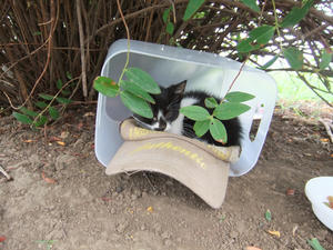 DSCF2479.JPG