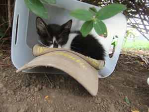 DSCF2480.JPG