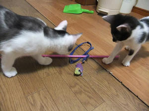 DSCF2572.JPG