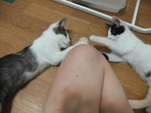 DSCF2496.JPG