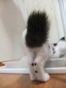 DSCF2583.JPG