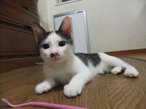 DSCF2573.JPG
