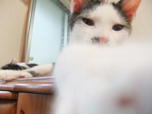 DSCF2537.JPG