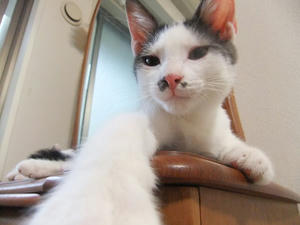 DSCF2539.JPG