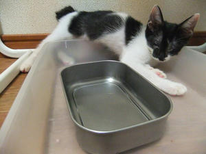 DSCF2488.JPG