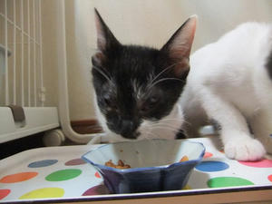 DSCF2470.JPG