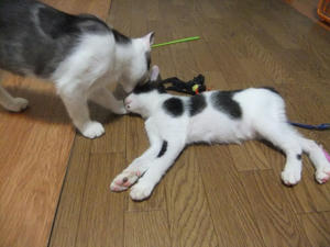 DSCF2611.JPG