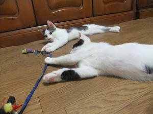 DSCF2610.JPG