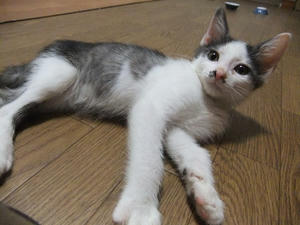DSCF2218.JPG