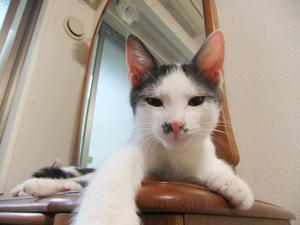 DSCF2540.JPG