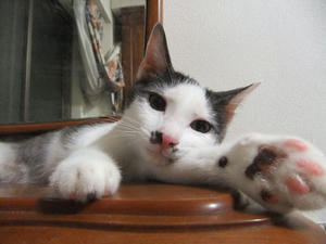 DSCF2606.JPG