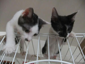 DSCF2636.JPG