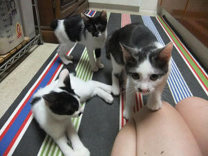 DSCF2650.JPG